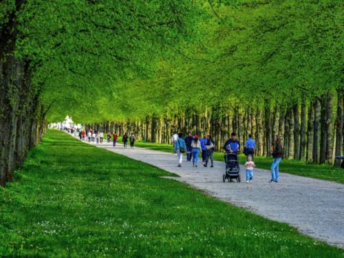 Grüne Herrenhäuser Allee