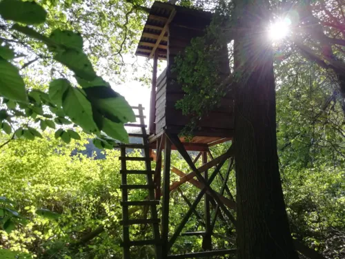 Ein Hochsitz im Wald mit Gegenlicht