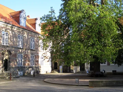 Eine große, alte Kastanie wirft Schatten auf Schloss Landestrost. Rund um den Kastanienstamm stehen Bänke, die zum Verweilen einladen.