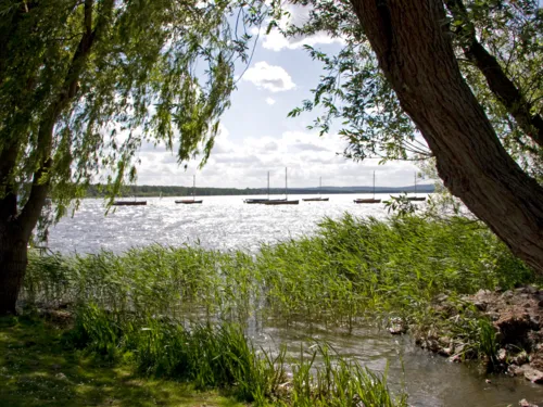Blick von einem Spazierweg aus auf das Steinhuder Meer. Links und rechts stehen Bäume, deren Krone ein Sichtfenster auf das Gewässer freigeben. Auf dem Wasser ankern Segelboote.