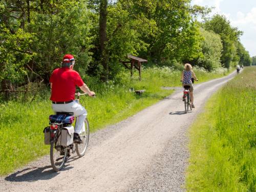 Mehrere Leute fahren mit Fahrrädern auf einem Radweg in einer Wiesenlandschaft.