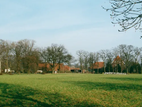 Blick über ein Feld in Richtung Bauernhöfe