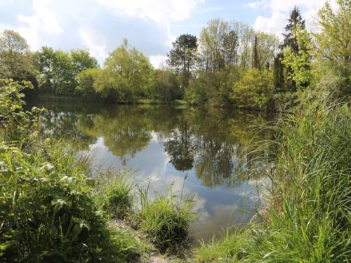 Von Pflanzen umgebenes Gewässer