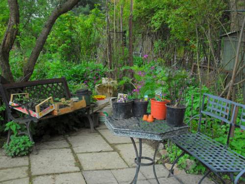 Stillleben im Garten mit Sitzgruppe und Pflanzen in Pflanzkübeln