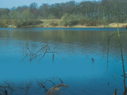 See mit hoher Uferböschung und abgestorbenen Bäumen im See