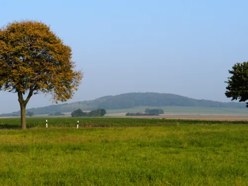Grüne Landschaft, im Hintergrund ein kleiner Berg