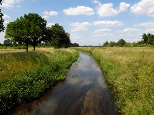 Ein kleinerer Fluss eingebettet zwischen Feldern