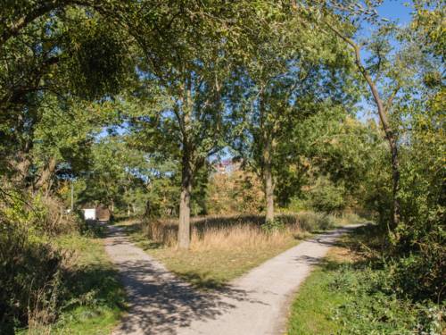 Ein Weg gabelt sich auf in zwei Wege, einer führt nach links und einer nach rechts.