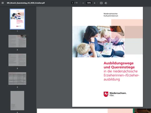 Vorschau auf das verlinkte PDF-Dokument