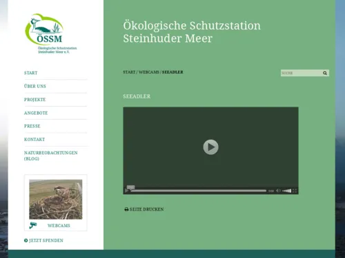 Vorschau auf die Internetseite mit der Webcam ins Adlernest