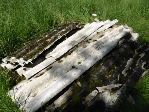 Wellasbestzementplatten im Gras liegend