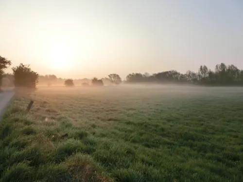 Nebel über den Wiesen des mittleren Leinetals