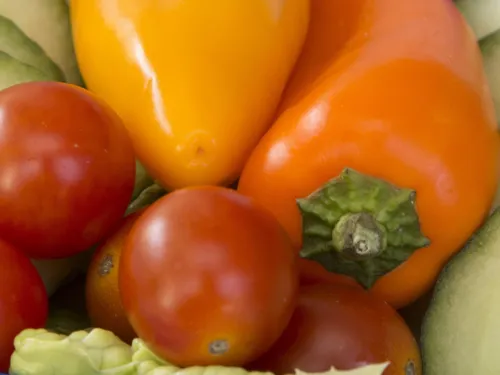 Gurke, Tomaten, Paprika