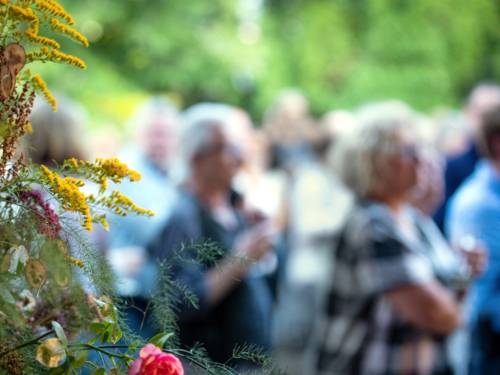 Blick über die Blüten einer Pflanze hinweg auf Menschen, die eine Veranstaltung besuchen.
