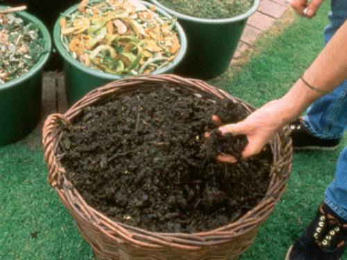 Grünabfälle und Kompost in separaten Behältern