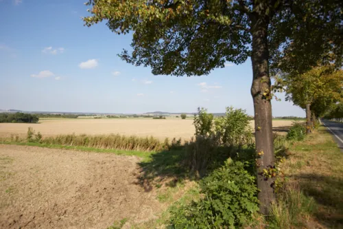 Landschaft Wennigsen