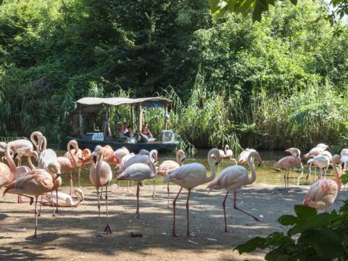 Erlebnis Zoo Sambesi Rundfahrt