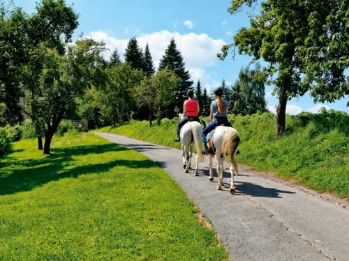 Reittour durch das Uetzer Umland