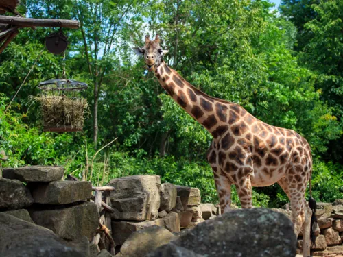 Erlebnis-Zoo Hannover