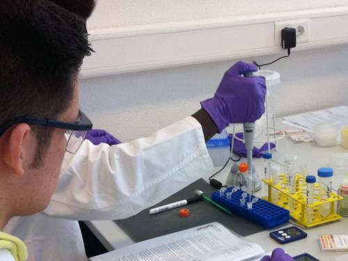 Ein Schüler im Laborkittel und mit Handschuhen füllt mit einer Pipette Flüssigkeit in Reagenzgläser, während ein zwei Schüler daneben den Versuchsaufbau aufmerksam verfolgt.