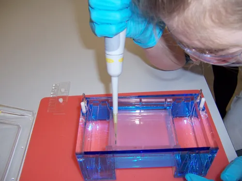 Schülerin mit Pipette an einer Gelelektrophoreseapparatur