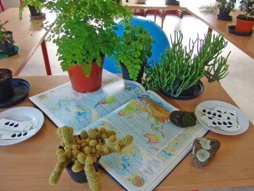 Unterschiedliche Pflanzen neben einem aufgeschlagenen Atlas mit Klimazonen