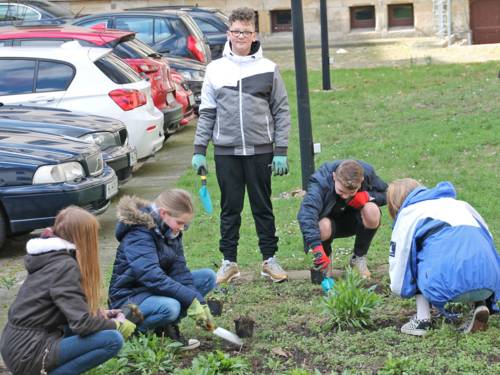 Schülerinnen und Schüler pflanzen Stauden.