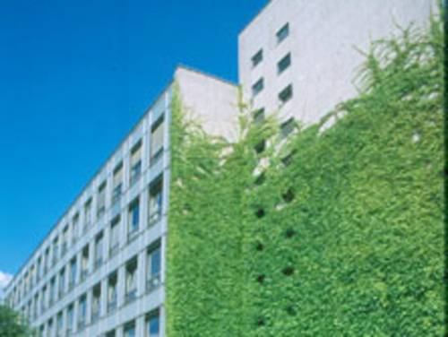 Mit Efeu bewachsenes Gebäude der Volkshochschule Hannover