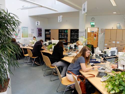 Bürgerinnen und Bürger sowie Sachbearbeiterinnen in einem großen mit Schreibtischen und Grünpflanzen versehenen Raum