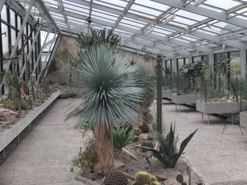 Blick in's Schauhaus