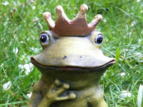 Frosch