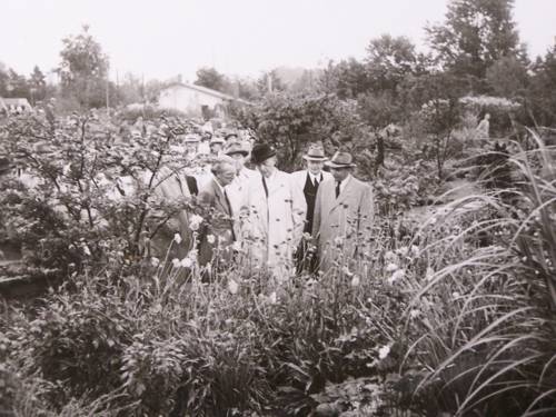 Konrad Adenauer auf der Bundesgartenschau 1951 im Stadtpark