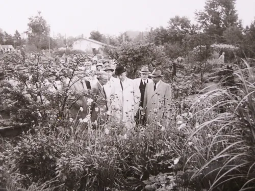 Konrad Adenauer auf der Bundesgartenschau 1951 im Stadtpark