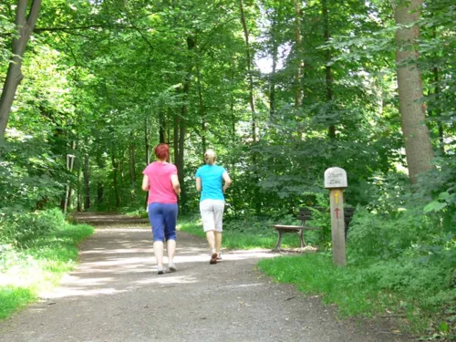 Zwei Joggerinnen im Wald