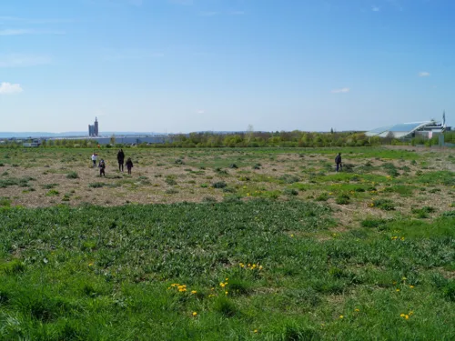 Blick auf den Bereich, in dem der vierte Bauabschnitt des Parks Kattenbrook umgesetzt wird