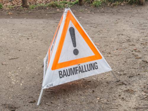 Warnschild mit der Aufschrift "Baumfällung"