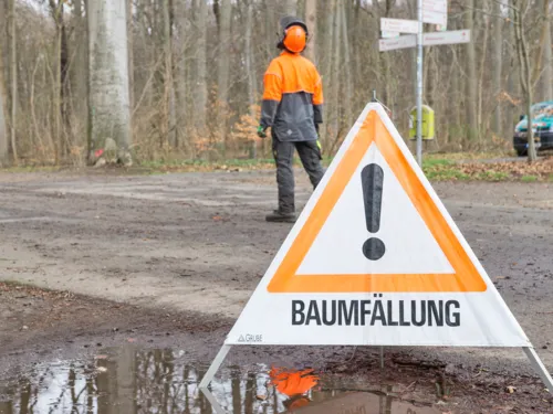 Warnschild "Baumfällung" im Vordergrund, daher ein Mann, der die Arbeiten beobachtet