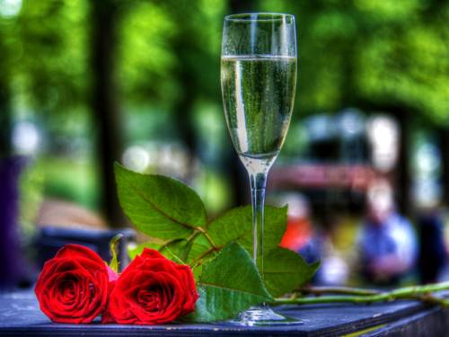 Ein Glas Sekt und zwei rote Rosen.