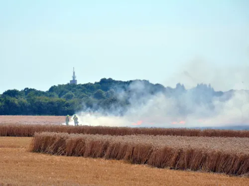 Weizenfeld brennt