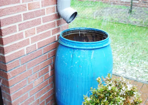 Regenwassernutzung