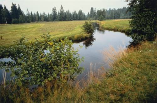 Gewässerrenaturierung ist gelebter Umweltschutz
