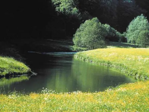 Saubere Umwelt