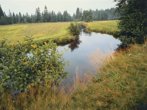 Fluss mit Herbstlandschaft