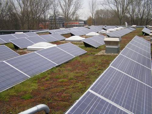 Photovoltaikanlage in Kombination mit einem Gründach auf dem Dach des Werkhofs in der Stammestraße