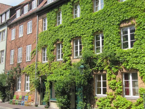 Mehrfamilienhaus am Ballhof mit begrünter Fassade und bunten Stühlen im Vordergrund
