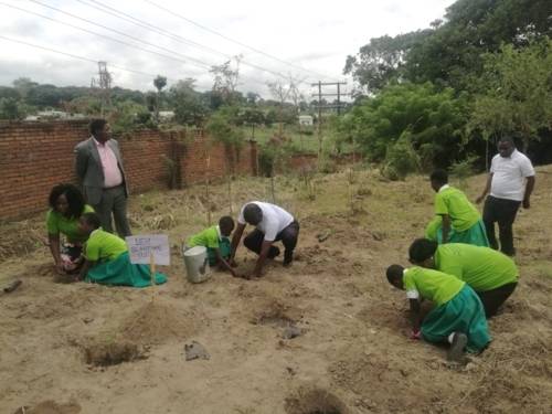 Der stellvertretende Bürgermeister von Blantyre und Schulkinder pflanzen die Baumsetzlinge in die vorbereiteten Löcher ein.