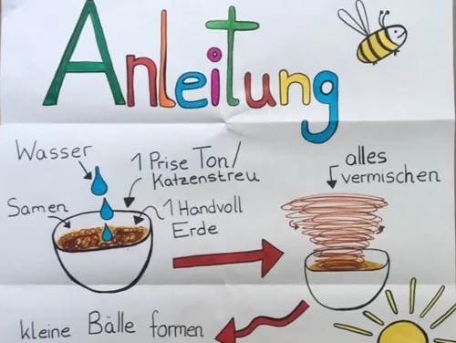 Ausschnitt aus einem handgeschriebenen Poster mit einer Anleitung zum Herstellen von Samenbomben.