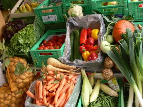 Stand auf dem Bauernmarkt Hannover mit Gemüse aus ökologischem Anbau