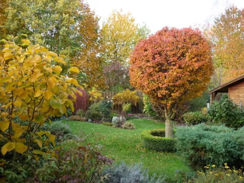 Garten im Herbst
