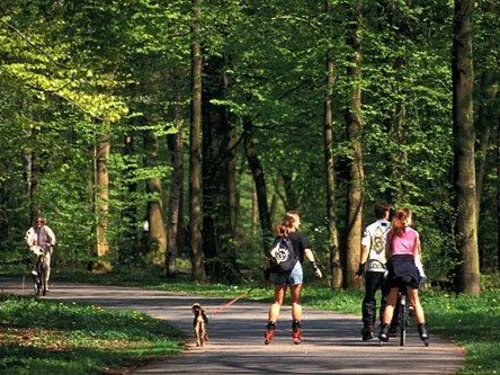 Skater und Radfahrer in der Eilenriede